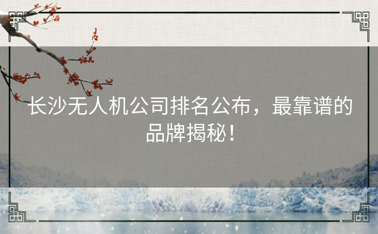 长沙无人机公司排名公布,最靠谱的品牌揭秘! 长沙无人机公司排名公布,最靠谱的品牌揭秘!