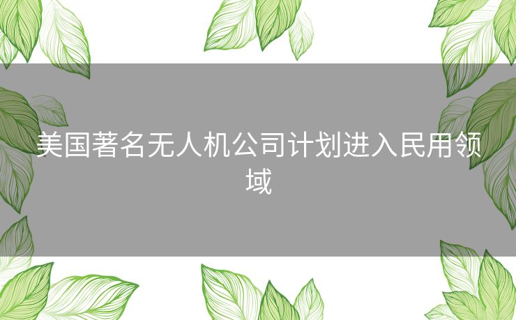 美国著名无人机公司计划进入民用领域 美国著名无人机公司计划进入民用领域