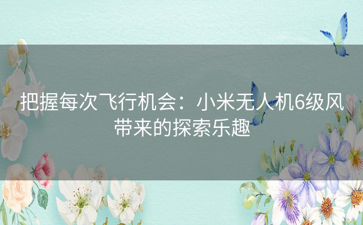 把握每次飞行机会:小米无人机6级风带来的探索乐趣 把握每次飞行机会:小米无人机6级风带来的探索乐趣