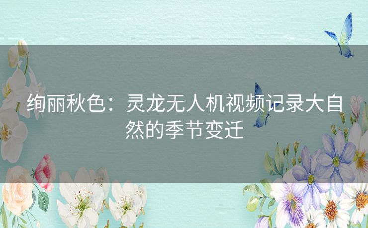 绚丽秋色:灵龙无人机视频记录大自然的季节变迁 绚丽秋色:灵龙无人机视频记录大自然的季节变迁