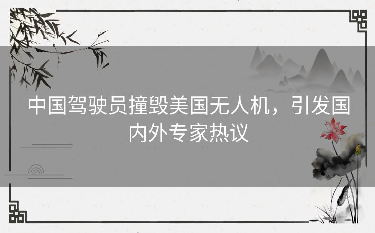 中国驾驶员撞毁美国无人机,引发国内外专家热议 中国驾驶员撞毁美国无人机,引发国内外专家热议