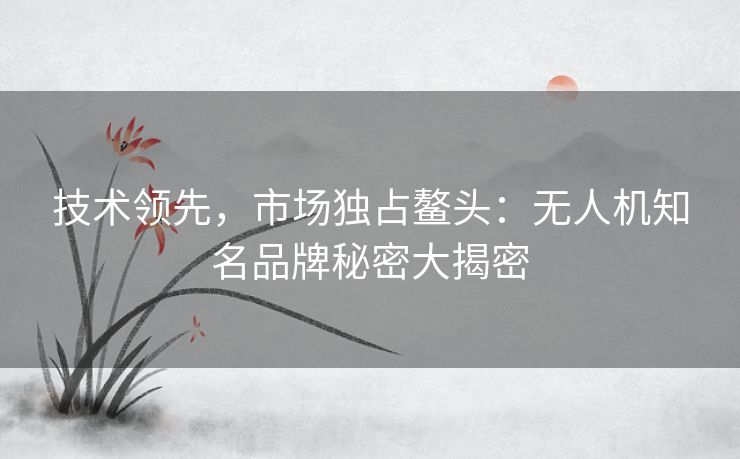 技术领先,市场独占鳌头:无人机知名品牌秘密大揭密 技术领先,市场独占鳌头:无人机知名品牌秘密大揭密