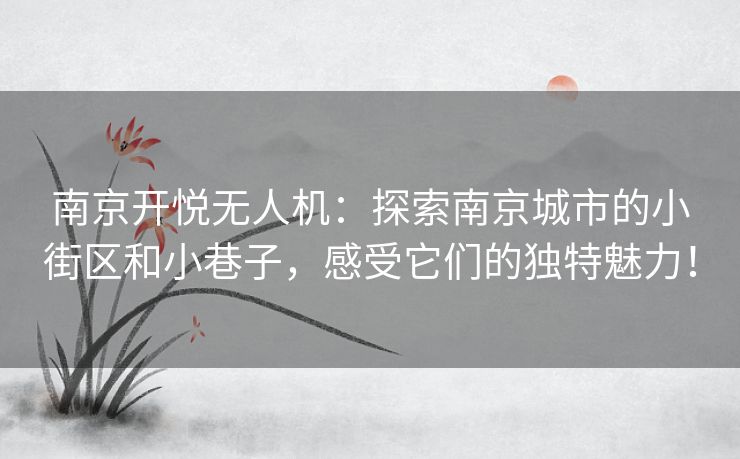 南京开悦无人机:探索南京城市的小街区和小巷子,感受它们的独特魅力! 南京开悦无人机:探索南京城市的小街区和小巷子,感受它们的独特魅力!