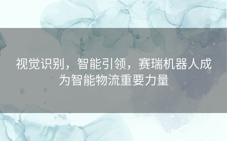 视觉识别,智能引领,赛瑞机器人成为智能物流重要力量 视觉识别,智能引领,赛瑞机器人成为智能物流重要力量
