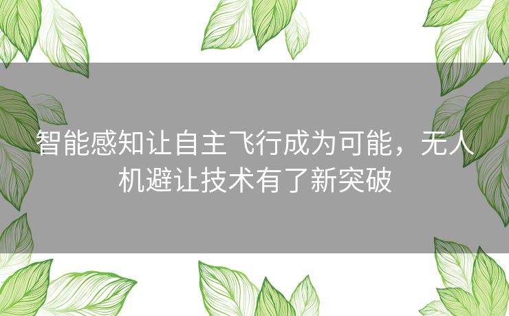智能感知让自主飞行成为可能,无人机避让技术有了新突破 智能感知让自主飞行成为可能,无人机避让技术有了新突破