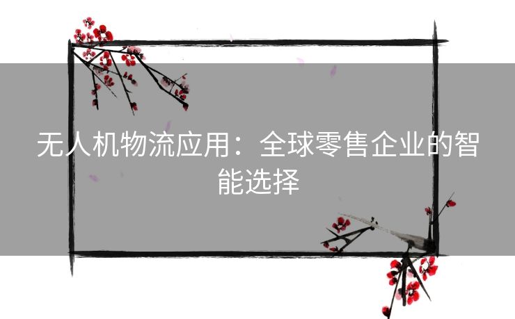 无人机物流应用:全球零售企业的智能选择 无人机物流应用:全球零售企业的智能选择