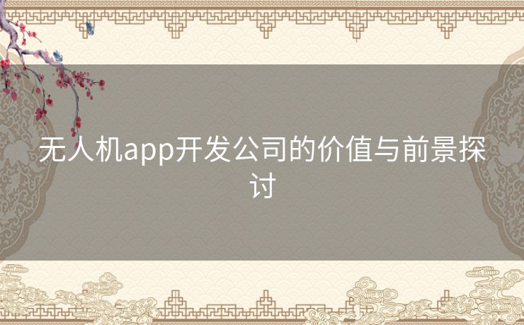 无人机app开发公司的价值与前景探讨 无人机app开发公司的价值与前景探讨
