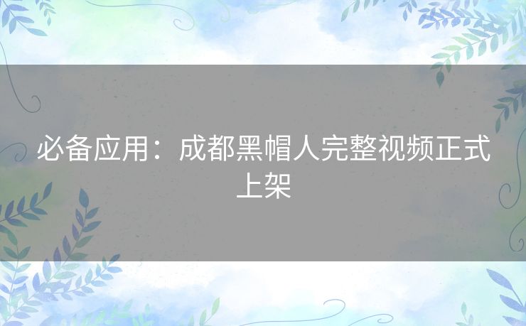 必备应用:成都黑帽人完整视频正式上架 必备应用:成都黑帽人完整视频正式上架