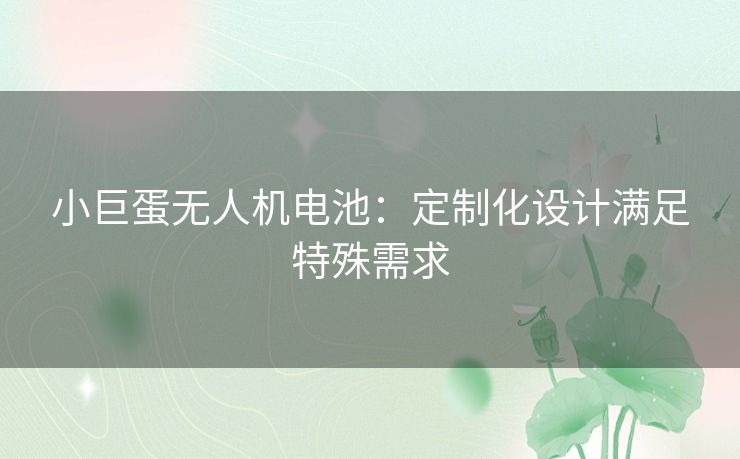 小巨蛋无人机电池:定制化设计满足特殊需求 小巨蛋无人机电池:定制化设计满足特殊需求