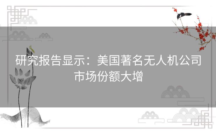研究报告显示:美国著名无人机公司市场份额大增 研究报告显示:美国著名无人机公司市场份额大增