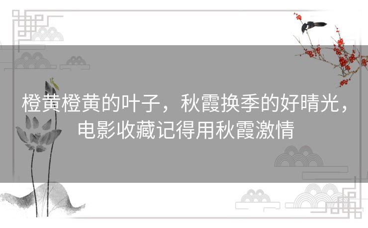 橙黄橙黄的叶子,秋霞换季的好晴光,电影收藏记得用秋霞激情 橙黄橙黄的叶子,秋霞换季的好晴光,电影收藏记得用秋霞激情