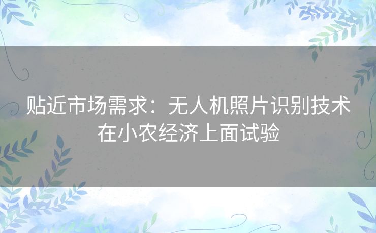 贴近市场需求:无人机照片识别技术在小农经济上面试验 贴近市场需求:无人机照片识别技术在小农经济上面试验