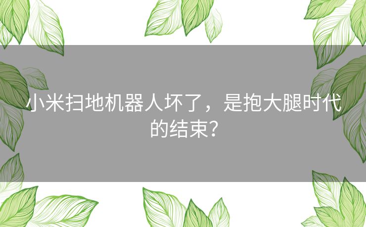 小米扫地机器人坏了,是抱大腿时代的结束? 小米扫地机器人坏了,是抱大腿时代的结束?
