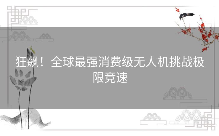 狂飙!全球最强消费级无人机挑战极限竞速 狂飙!全球最强消费级无人机挑战极限竞速