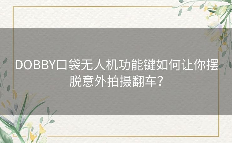 DOBBY口袋无人机功能键如何让你摆脱意外拍摄翻车? DOBBY口袋无人机功能键如何让你摆脱意外拍摄翻车?