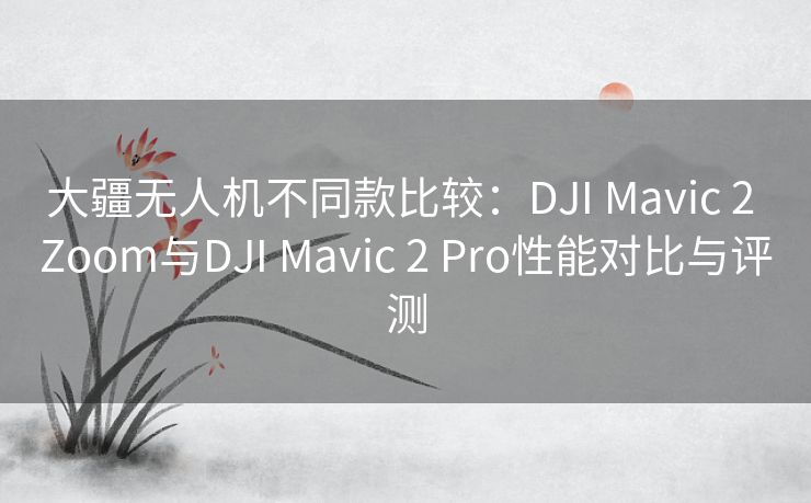 大疆无人机不同款比较:DJI Mavic 2 Zoom与DJI Mavic 2 Pro性能对比与评测 大疆无人机不同款比较:DJI Mavic 2 Zoom与DJI Mavic 2 Pro性能对比与评测