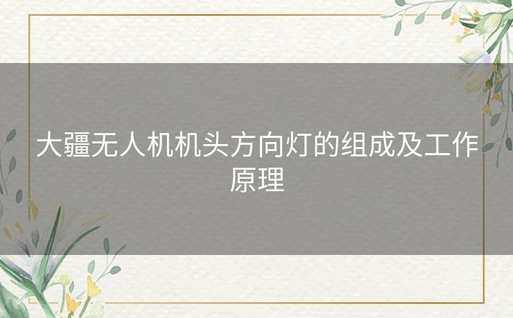 大疆无人机机头方向灯的组成及工作原理 大疆无人机机头方向灯的组成及工作原理