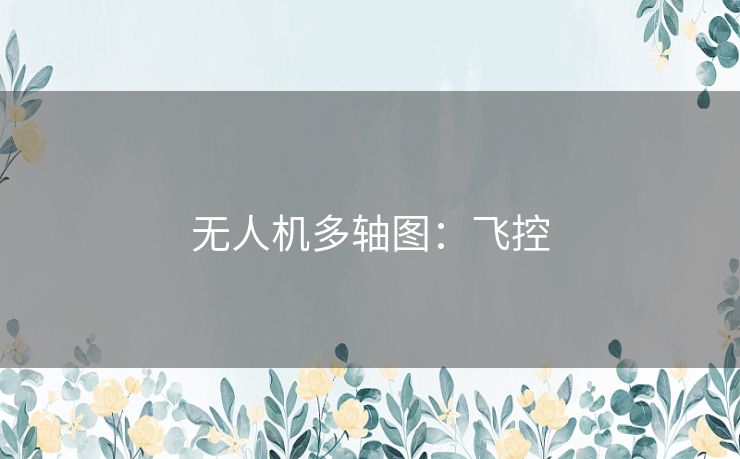无人机多轴图:飞控 无人机多轴图:飞控