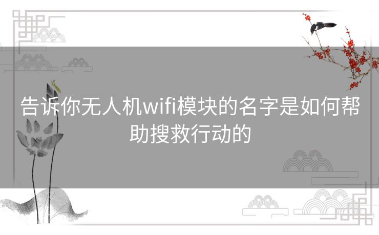 告诉你无人机wifi模块的名字是如何帮助搜救行动的 告诉你无人机wifi模块的名字是如何帮助搜救行动的