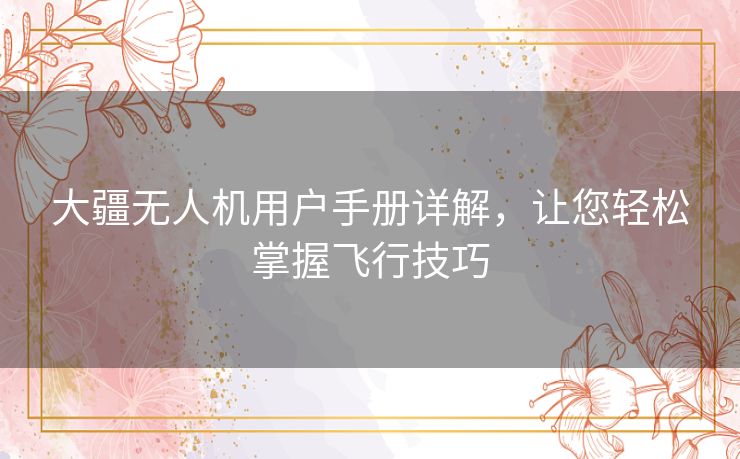 大疆无人机用户手册详解,让您轻松掌握飞行技巧 大疆无人机用户手册详解,让您轻松掌握飞行技巧