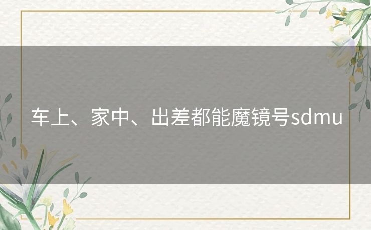 车上、家中、出差都能魔镜号sdmu 车上、家中、出差都能魔镜号sdmu