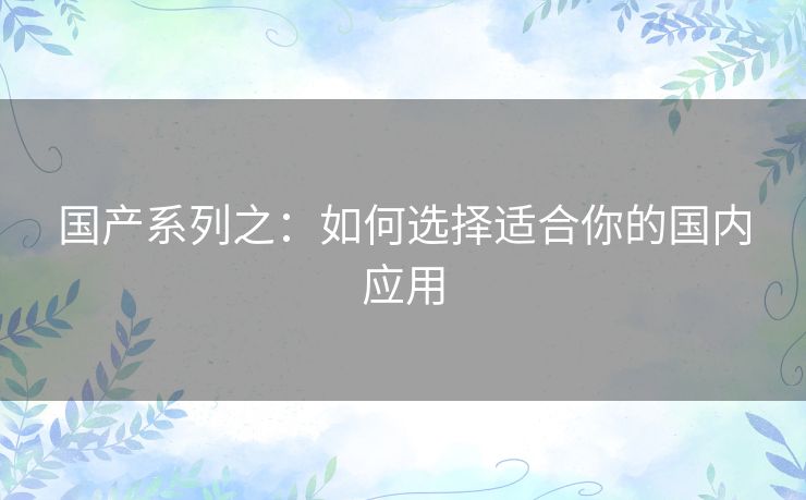 国产系列之:如何选择适合你的国内应用 国产系列之:如何选择适合你的国内应用