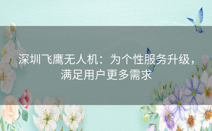 深圳飞鹰无人机：为个性服务升级，满足用户更多需求
