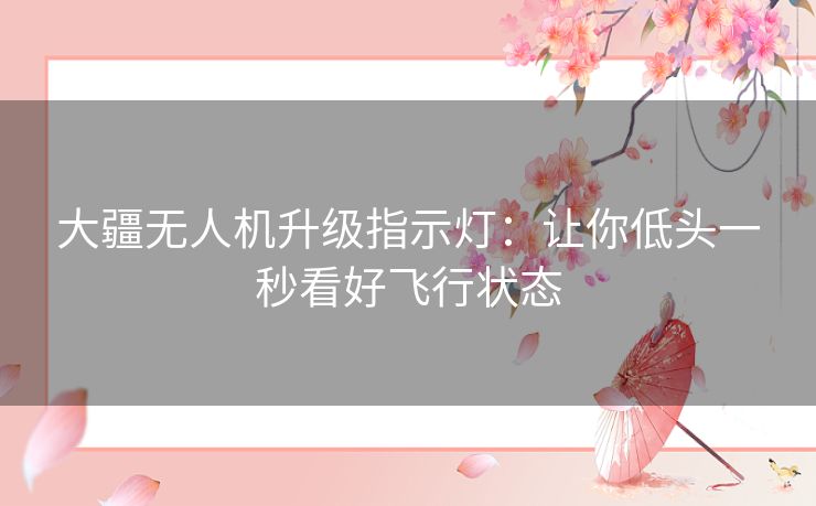 大疆无人机升级指示灯:让你低头一秒看好飞行状态 大疆无人机升级指示灯:让你低头一秒看好飞行状态