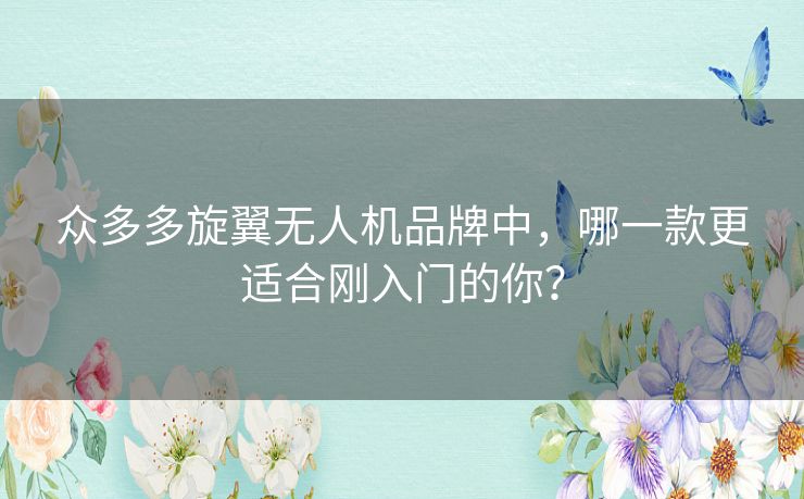 众多多旋翼无人机品牌中,哪一款更适合刚入门的你? 众多多旋翼无人机品牌中,哪一款更适合刚入门的你?