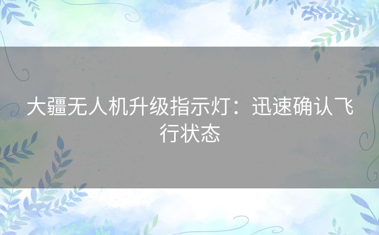 大疆无人机升级指示灯:迅速确认飞行状态 大疆无人机升级指示灯:迅速确认飞行状态