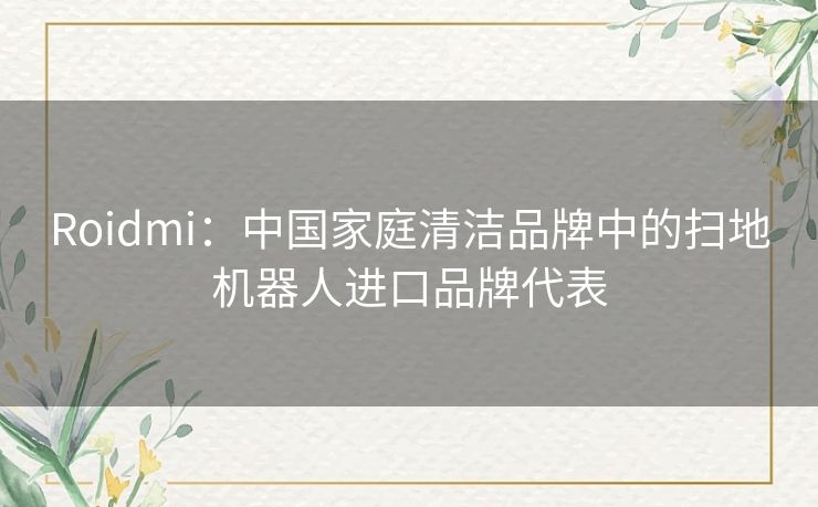 Roidmi：中国家庭清洁品牌中的扫地机器人进口品牌代表