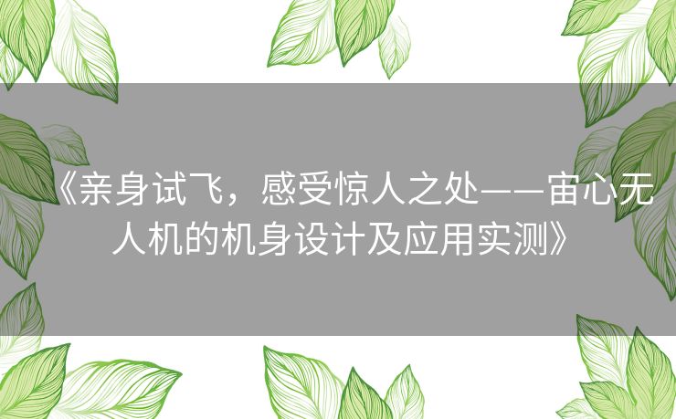 《亲身试飞,感受惊人之处——宙心无人机的机身设计及应用实测》 《亲身试飞,感受惊人之处——宙心无人机的机身设计及应用实测》