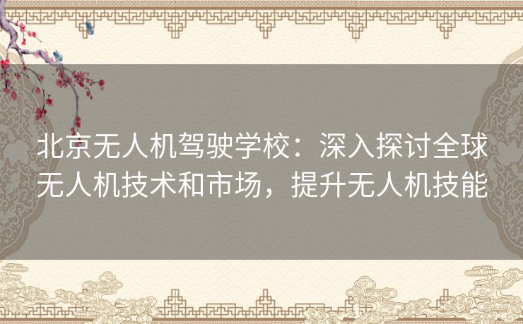 北京无人机驾驶学校：深入探讨全球无人机技术和市场，提升无人机技能