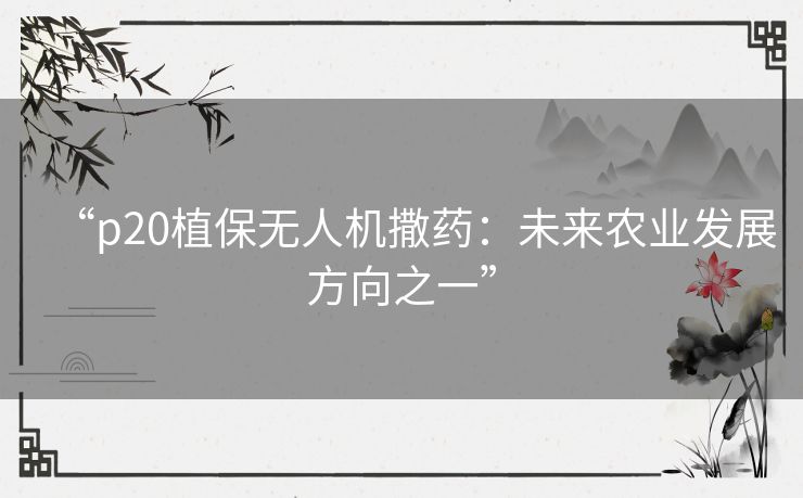 “p20植保无人机撒药:未来农业发展方向之一” “p20植保无人机撒药:未来农业发展方向之一”