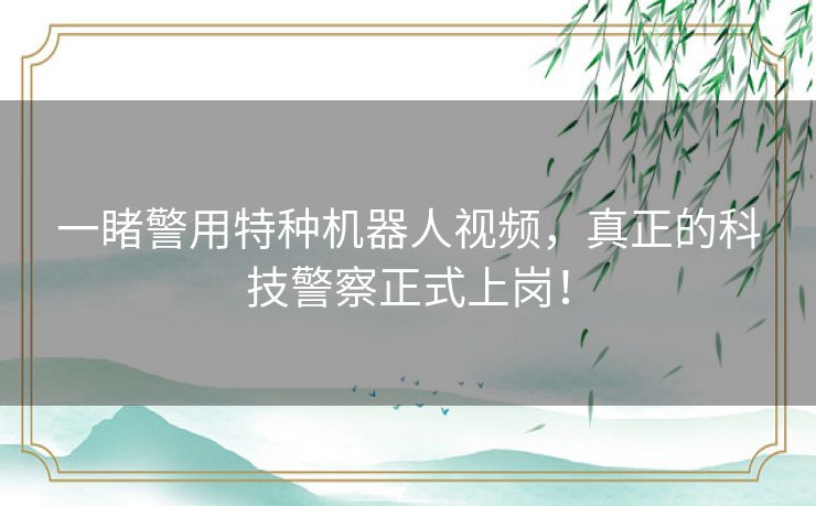 一睹警用特种机器人视频，真正的科技警察正式上岗！
