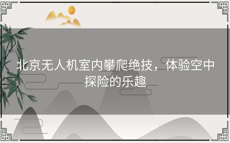 北京无人机室内攀爬绝技,体验空中探险的乐趣 北京无人机室内攀爬绝技,体验空中探险的乐趣
