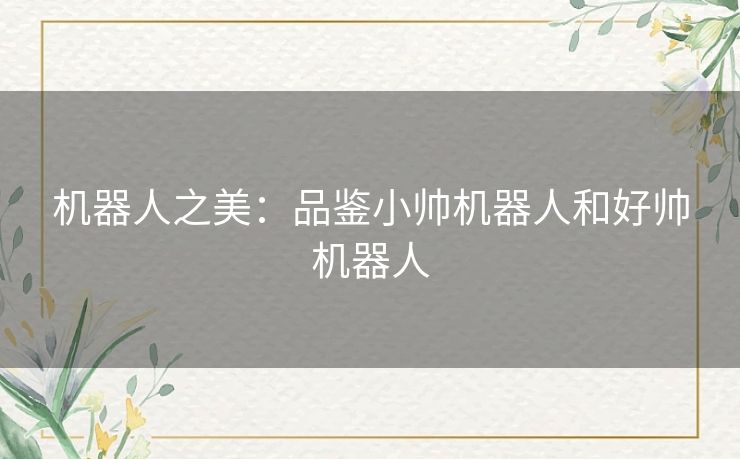 机器人之美:品鉴小帅机器人和好帅机器人 机器人之美:品鉴小帅机器人和好帅机器人