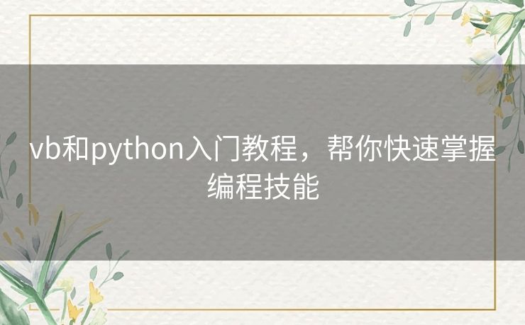 vb和python入门教程,帮你快速掌握编程技能 vb和python入门教程,帮你快速掌握编程技能