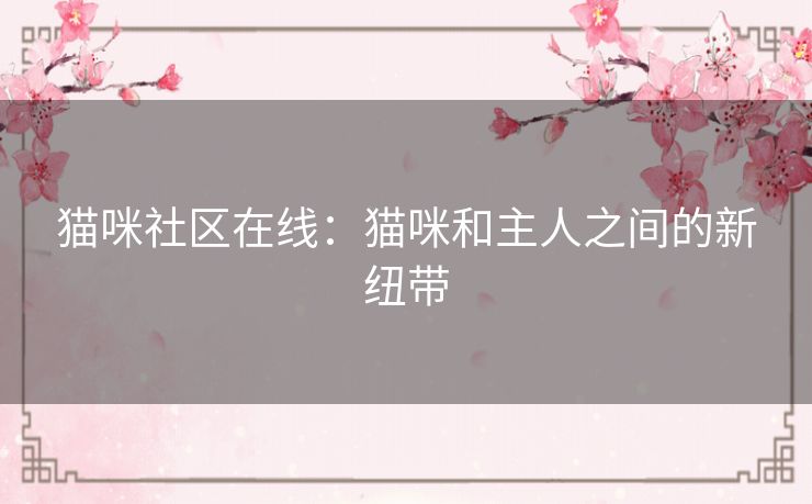 猫咪社区在线:猫咪和主人之间的新纽带 猫咪社区在线:猫咪和主人之间的新纽带