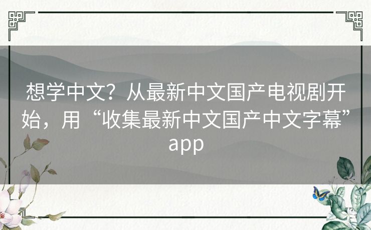 想学中文？从最新中文国产电视剧开始，用“收集最新中文国产中文字幕”app