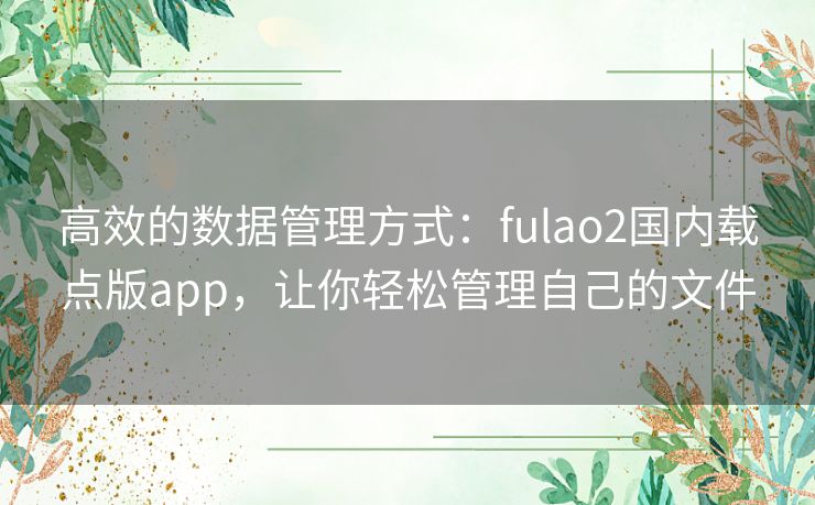 高效的数据管理方式：fulao2国内载点版app，让你轻松管理自己的文件