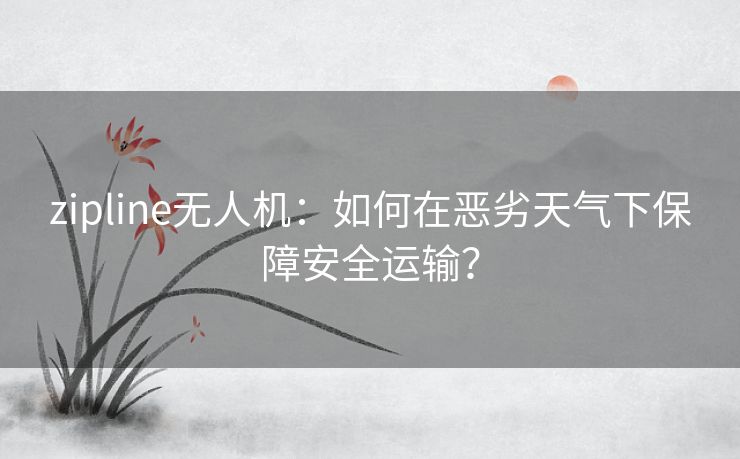 zipline无人机：如何在恶劣天气下保障安全运输？